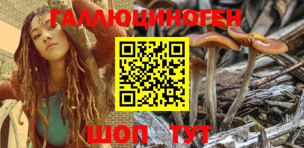 Галлюциногенные грибы Psilocybine cubensis  Вход с VPN  Ангарск 