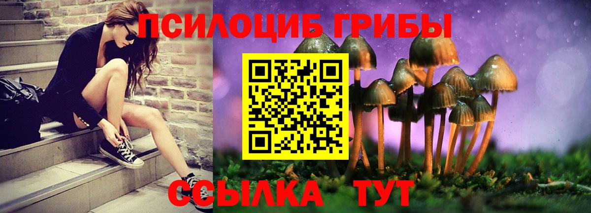 Псилоцибиновые грибы мицелий Ангарск